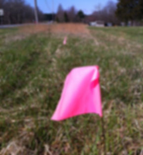 Marking Flags (bundle of 100)