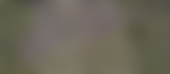 Р Молдова - руска операция под фалшив флаг в т.нар. Приднестровска молдовска република