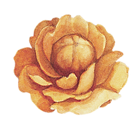 Flor amarilla