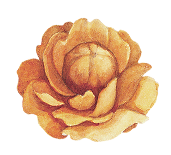 Flor amarilla
