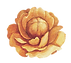 Flor amarilla