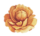 Yellow Flower