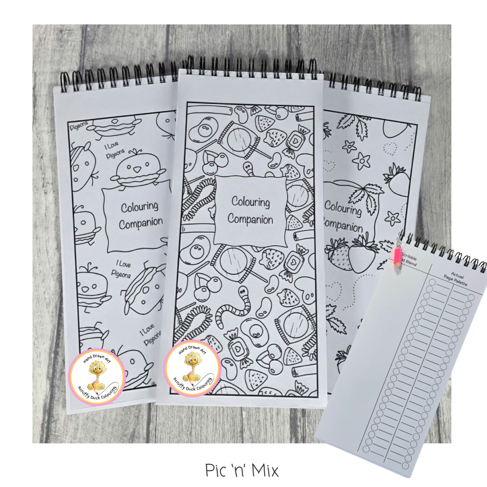 Pic 'n' Mix - Colouring Companion - Test, Swatch & Blend Book DL Size