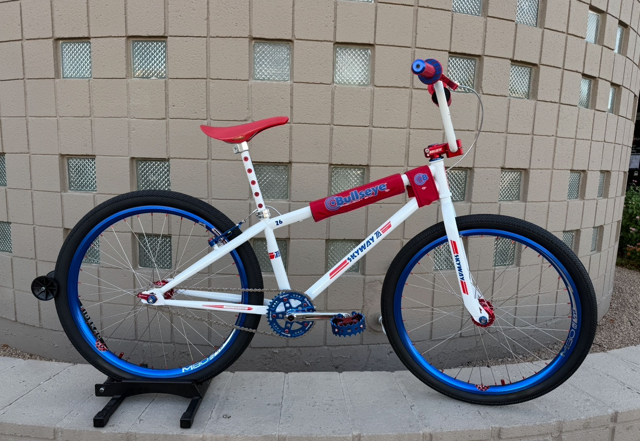 SKYWAY CUSTOM 26” SHOW BUILD