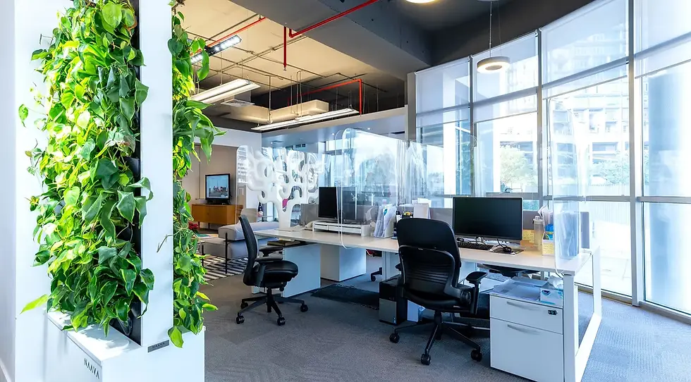 OI Showroom Dubai.webp