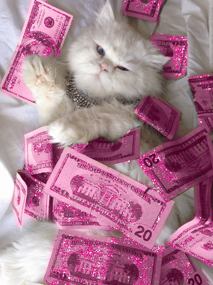 kitty