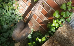 20201001_115852.jpg