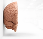 20260331_1517_Image Generation_remix_01kn20m9vne6v8nbhc7kwjh5d6.png