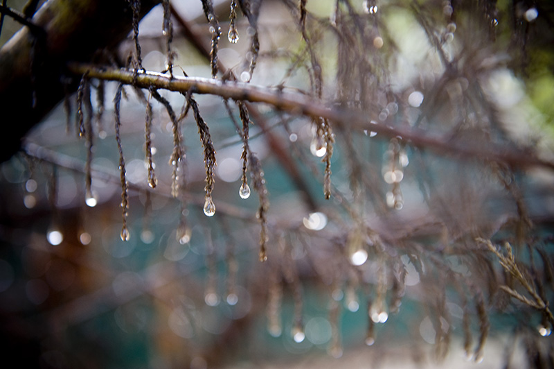 Water Droplets