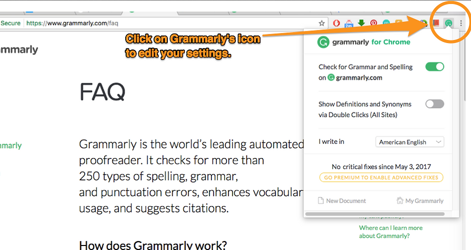 Edit Grammarly