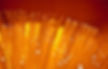 cableado-estructurado-ok.jpg