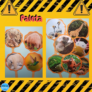 descarga instagram (1).png