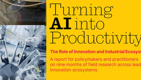 Turning AI into Productivity: Lessons from 110 Ecosystems