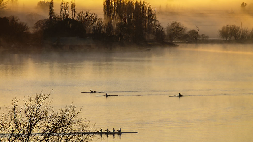 Canberra Rowing.jpg