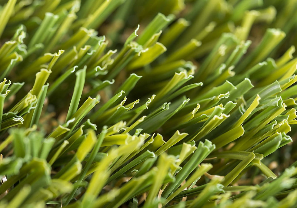 Close-up of durable green pet turf blades.