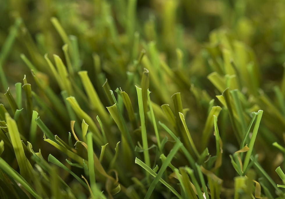 Close-up of green Master artificial grass blades