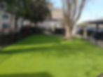 Commercial turf installed in a fenced apartment dog park.