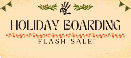 Flash Sale! - Holiday Boarding