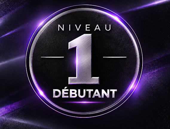 niveau 1.png