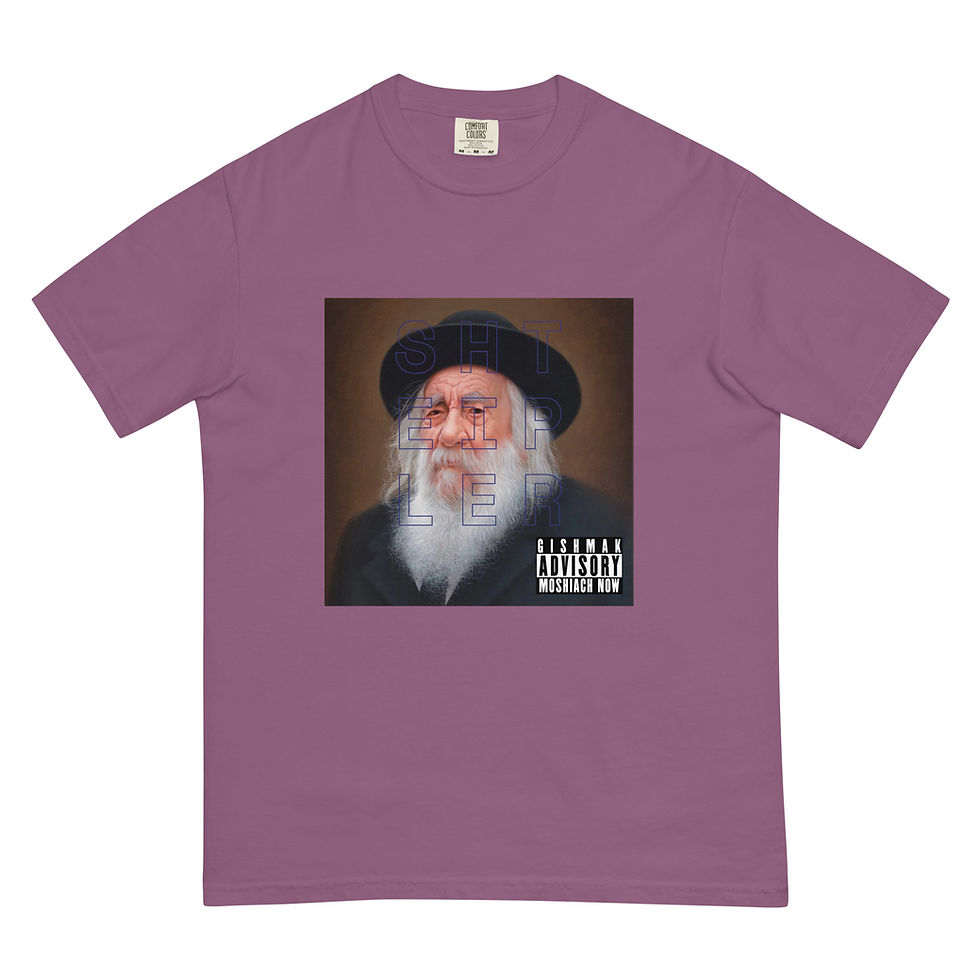 Thumbnail: Rav Shteipler T