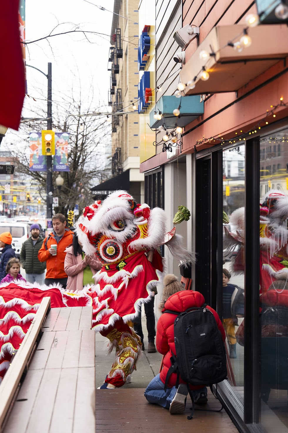 Lion attempts to grab lettuce