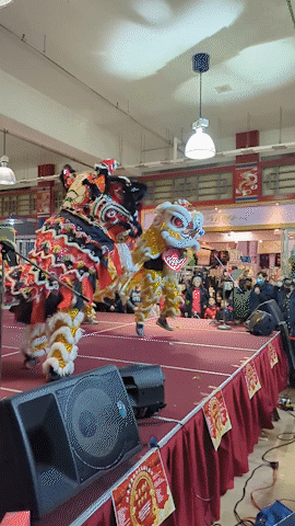 Lion dancers toss lettuce
