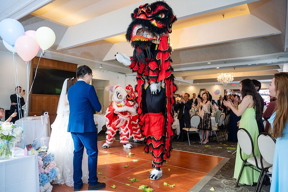Lion boosted into the air for wedding performance