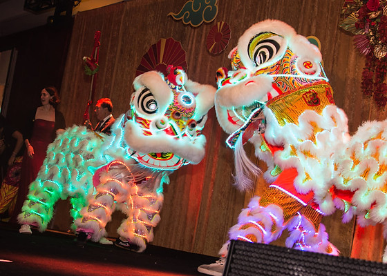 LED lion dance
