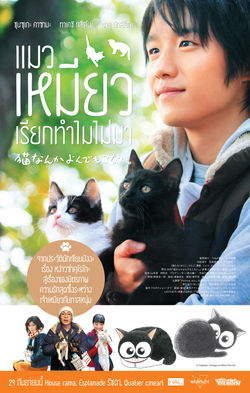 Cats Don't Come When You Call