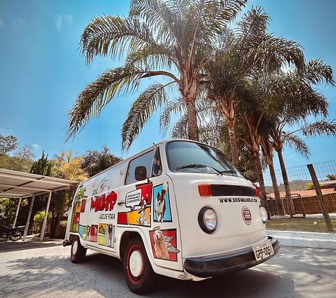 Imagem do WhatsApp de 2025-01-30 à(s) 13.52.39_004cb2ab.jpg