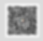 TWINT_Individueller-Betrag_Dorffest2025_grau nur QR-Code.png