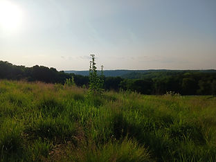 Scenic Wisconsin Prairie
