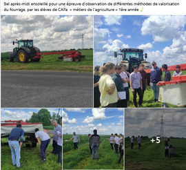 Observation des méthodes de valorisation du fourrage - CAPA 1ère année
