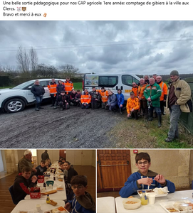 Comptage de gibiers pour les CAP Agricole !