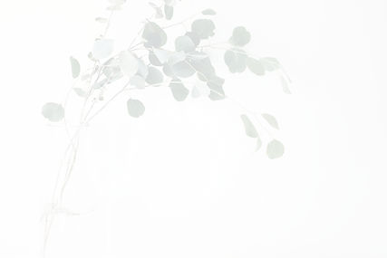 green leaf plant_edited_edited.jpg