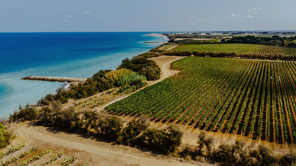 A Taste of Puglia x Broadway Cellars