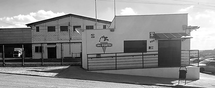 Design sem nome (15)_edited.jpg