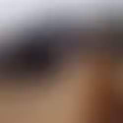 Drame sur l’autoroute Mbour-Kaolack : un « War Gaindé » se renverse sur le tronçon Fatick-Thiadiaye, trois morts et quatre blessés graves