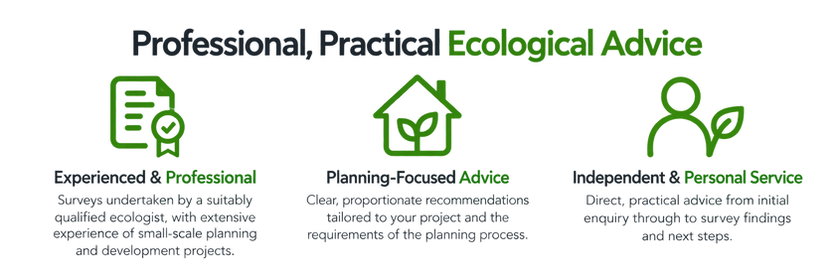 West Country Ecology provides professional, practical ecological advice