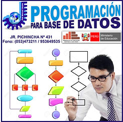 PROGRAMACION.JPG