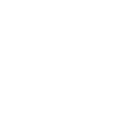 003.png