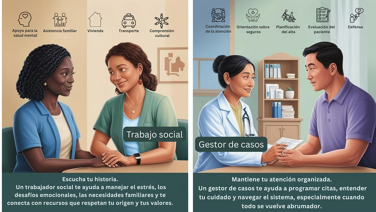 Trabajador social/Gestor de casos.png