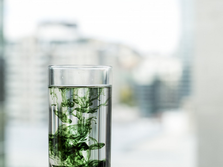 La chlorophylle: connaître ses bienfaits, la boire et l’adopter