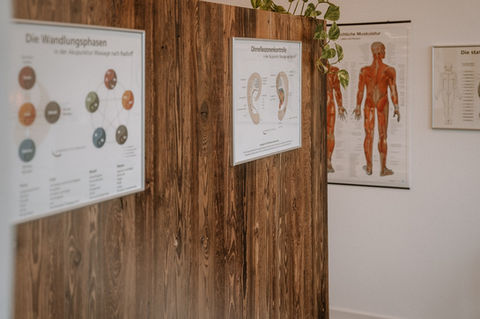 Anschauungstafeln zur Ohrreflexzonenkontrolle und den Wandlungsphasen der APM-Akupunkturmassage nach Radloff in der Praxis.