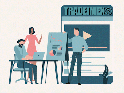 Tradeimex_AboutUs