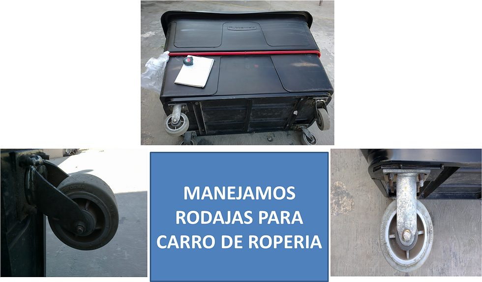 RODAJAS 2.png