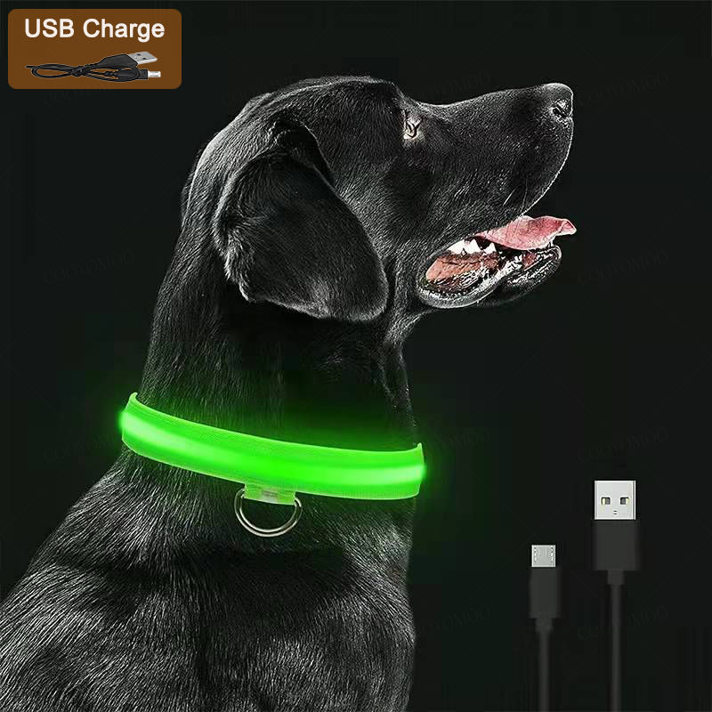 NightSafe Pet Led Collar