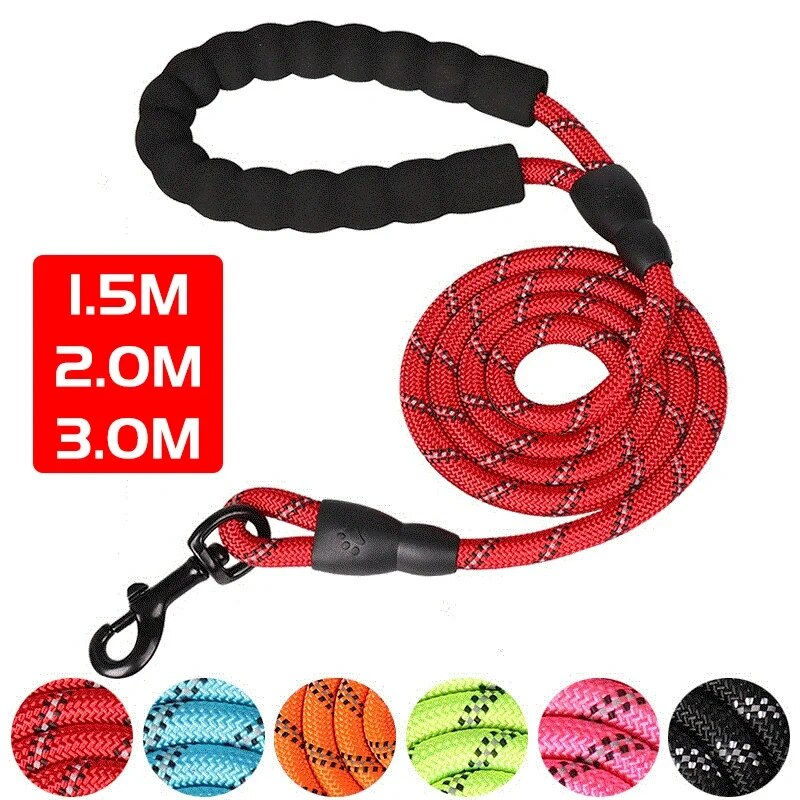 Guardian Grip Leash 🐾