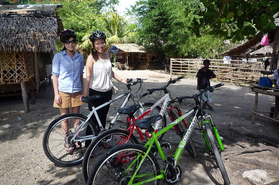 Our Mountain Bikes