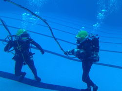 WhatsApp Image 2020-06-01 at 10.30